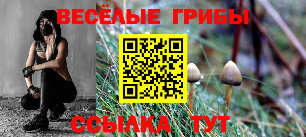 Галлюциногенные грибы прущие грибы  Галлюциногенные грибы мухоморы  где можно купить наркотик  Вход с VPN  Керчь 